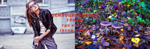 спиды Алзамай