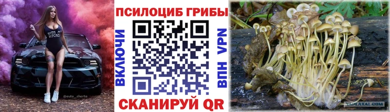 Галлюциногенные грибы прущие грибы  Харовск 